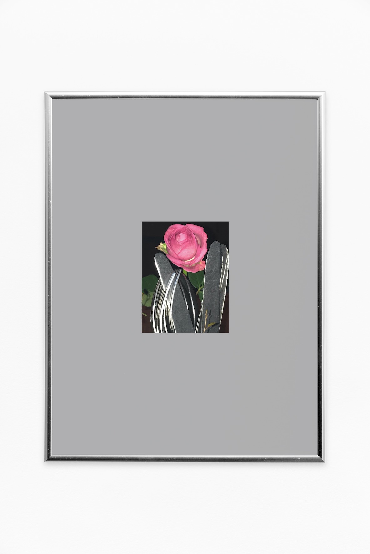 Raring, 2018, c-print on baryta Hahnemühle paper, silver aluminium frame, cm. 12,5 x 10 (print); cm. 40 x 30 (frame)